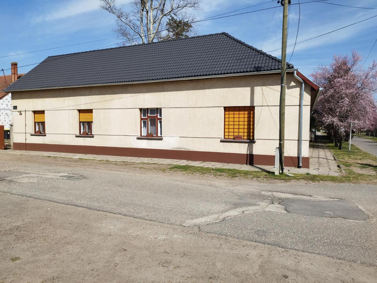 Tartos Szegfu Vendeghaz, Maganszallas Tazlar Ngoại thất bức ảnh